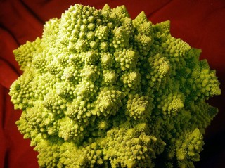 151124-romanesco-01.jpg