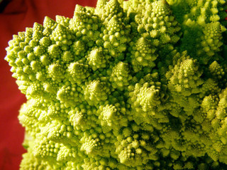 151124-romanesco-02.jpg