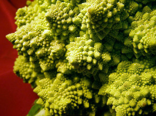 151124-romanesco-03.jpg