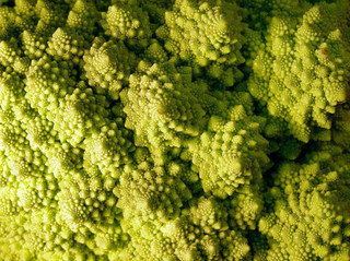 151124-romanesco-05.jpg
