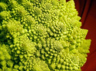 151124-romanesco-06.jpg