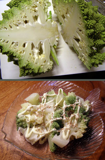151124-romanesco-07.jpg
