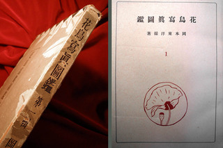 151202-kacho-h3.jpg