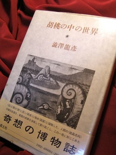 151205-shibusawa.jpg