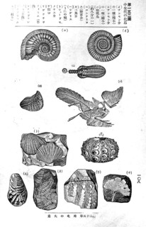 170117_minerals_16.jpg