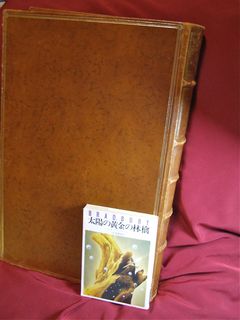 170711_kana_book.jpg