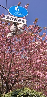 220423_sumaho_0360.jpg