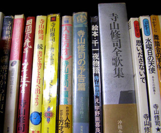 P1080006.jpg