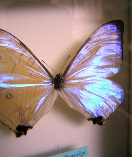 P2250004.jpg