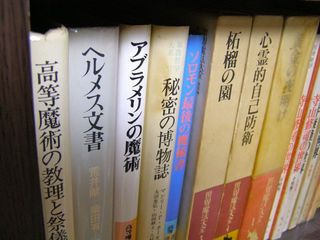 P3190050.jpg