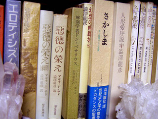 P3310030.jpg