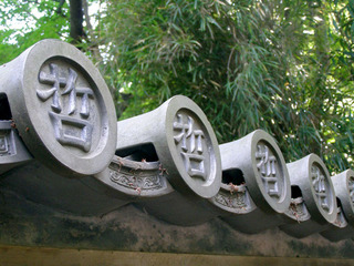 P5020032.jpg