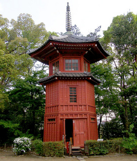P5020035.jpg