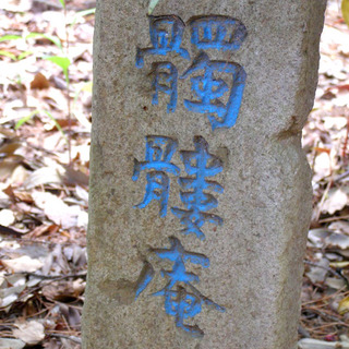 P5020132.jpg
