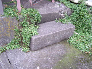 P6270028.jpg