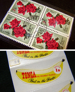 PA150002.jpg
