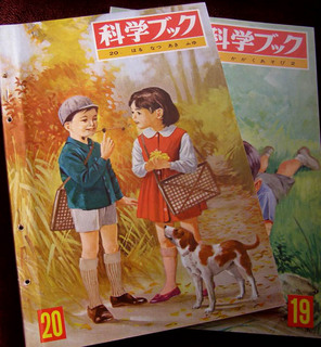PB010031.jpg