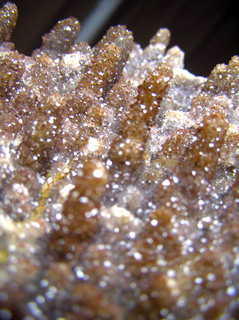 PB120009.jpg