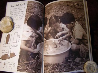 PB270063.jpg