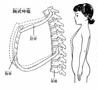 PB290021.jpg