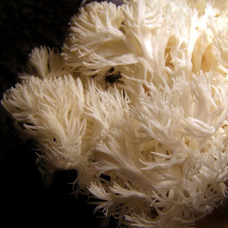 PB300011.jpg