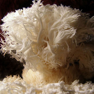 PB300012.jpg
