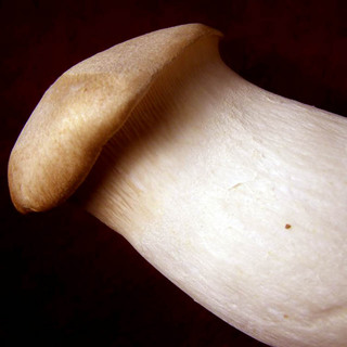 PC080002.jpg