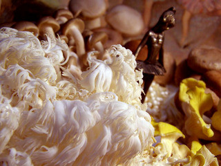 PC090034.jpg
